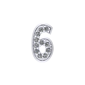 Bangle Charm Number 6