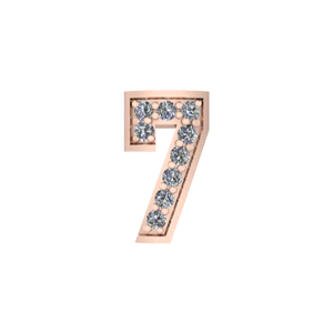 
                  
                    Bangle Charm Number 7
                  
                